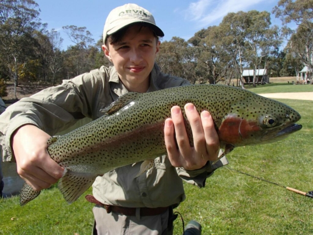 Monster rainbow trout, Rainbow Springs, fly fishing