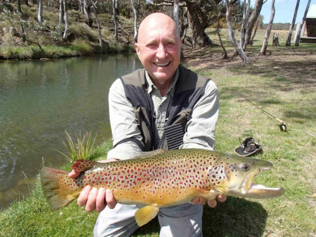 Huge Brown Trout, Fly Fishing, Bow and Arrow Casting, Learning to Fly Fish, Rainbow Springs Fly Fishing